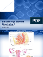 Embriologi Sistem Genitalia