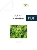 salataSM 1 PDF