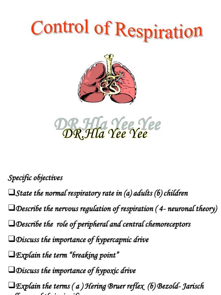 Regulation of Breathing Exhalation Respiratory System