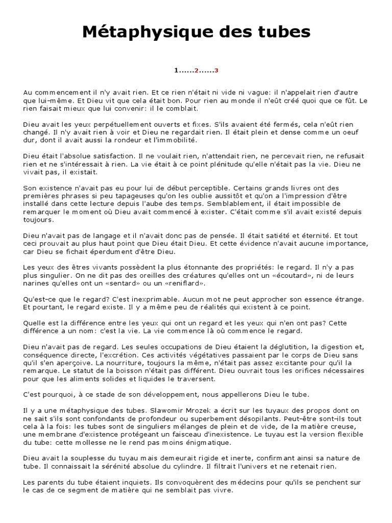 Métaphysique Des Tubes - Fiche De Lecture