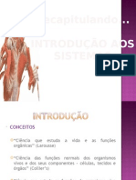 INTRODUCAO-AOS SISTEMAS-FISIOLOGIA-HUMANA.pptx