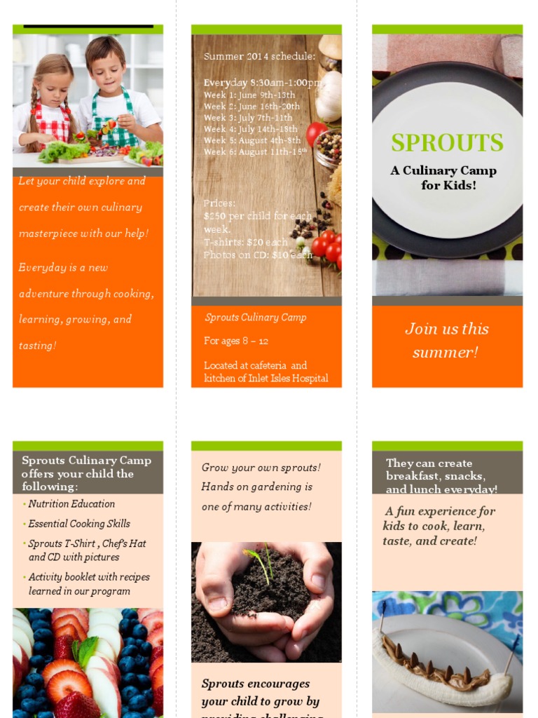 Pamplet | PDF