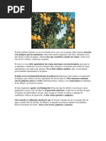 Hoja De Seguridad De Sacarina Sodica Quimica Farmaceutica Dioxido De Carbono Incineracion