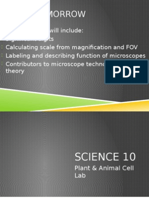 Science 10 - Unit C - Plant & Animal Cell Lab | PDF | Lens (Optics) | Cell  (Biology)