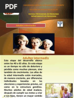 Adultez Intermedia