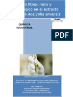 Estudio Fitoquimico y Microbiológico en El Extracto Etanólico de Acalypha Arvensis y Acalypha Alopecuroidaes