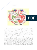 Anatomi dan Fisiologi Jaras Penglihatan.docx