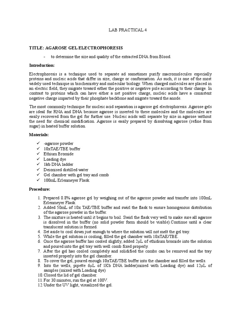 Agarose Gel Electrophoresis Lab Guide | PDF | Agarose Gel ...