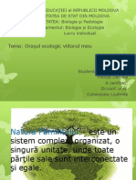 Orasul Ecologic-Viitorul Meu!