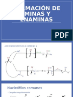 Formación Iminas y Enaminas