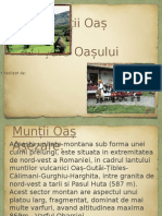 Muntii Oas Si Tara Oasului