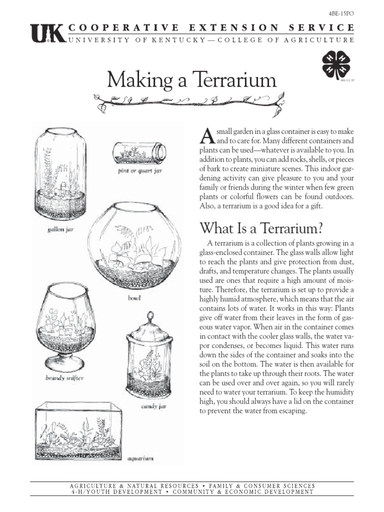 Terrarium | PDF | Home & Garden