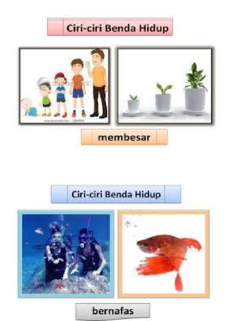 Ciri Benda Hidup Pdf