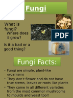 Fungi2 PPTX Jennifer