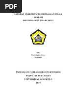 Download LAPORAN  PRAKTIKUM PENGENDALIAN GULMA RUMPUTdocx by Hendry Soesilo Wibowoe SN263132823 doc pdf