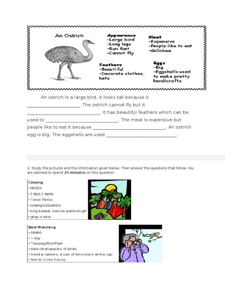 Why Ostriches Can't Fly | PDF | Teaching Methods & Materials