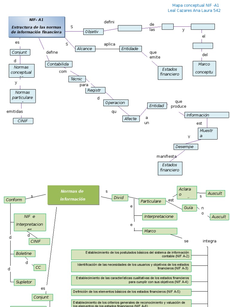 Mapa Conceptual de Las NIF