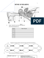 F2 Science Drawing N Labelling Sense of Hearing Modul