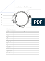 F2 Science C1 Sense of Sight