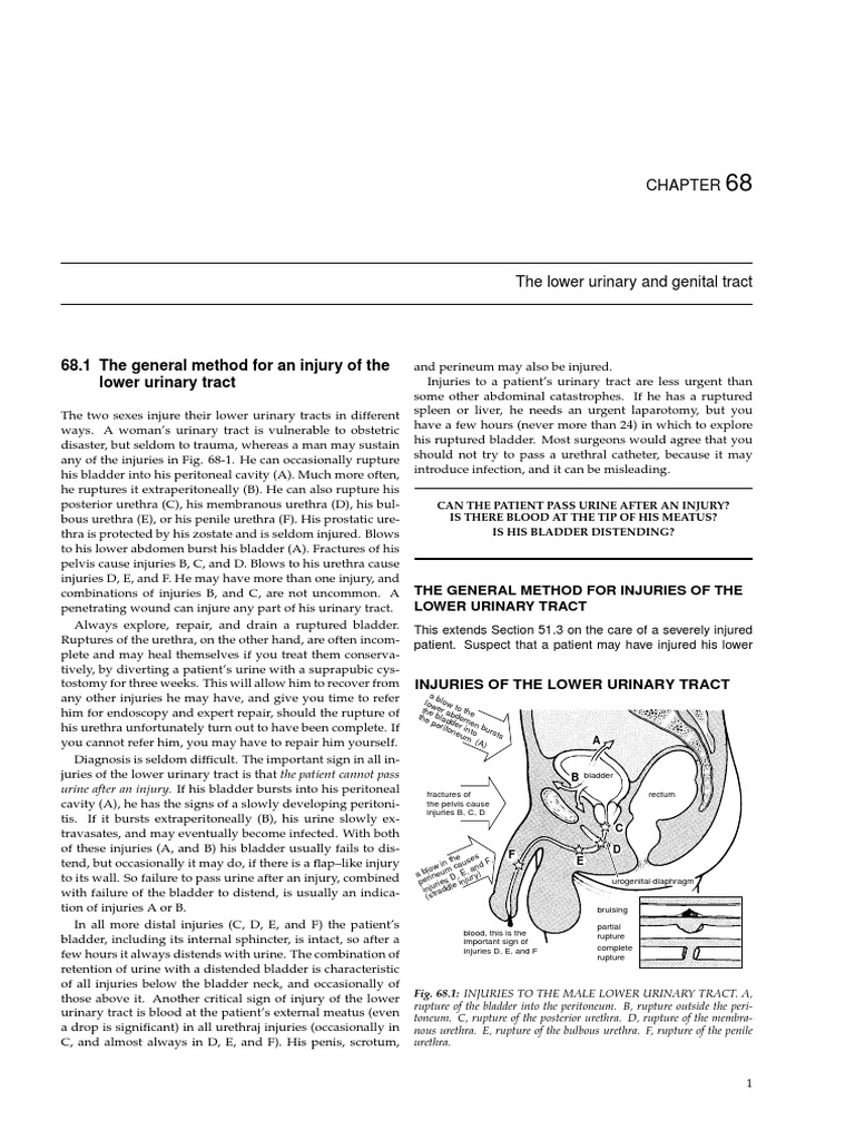 Urinary Surgery | PDF | Urinary Bladder | Abdomen