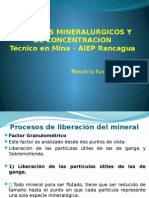 Concentración minerales 