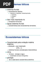 Ecossistemas lóticos