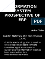 Information System Prospective of Erp