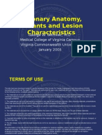 Coronary Anatomy, Variants and Lesion Characteristics