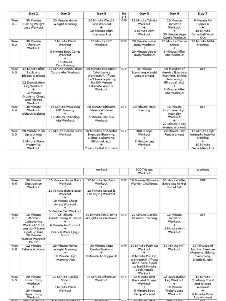 HASfit Hero 90 Day High Intensity Exercise Program | PDF