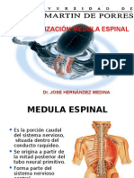 Medula Espinal Sistematizacion