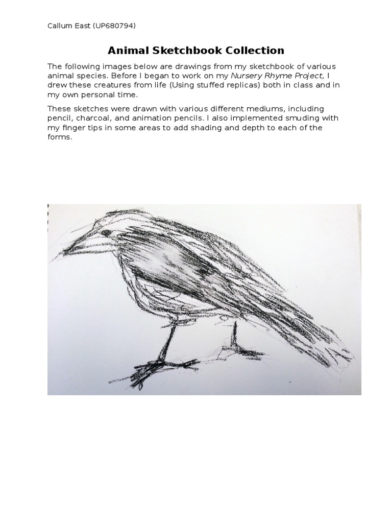 Animal Sketches for Art Students | PDF