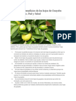 Beneficios Guayaba