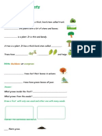 Plants: Complete and Match