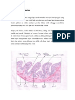 Imunologi Tonsil