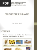 Cereais e Leguminosas