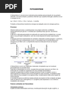FOTOSSÍNTESE