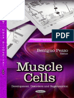 Muscle Cells, Development Etc