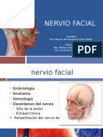 Nervio Facial PPT Final (1)