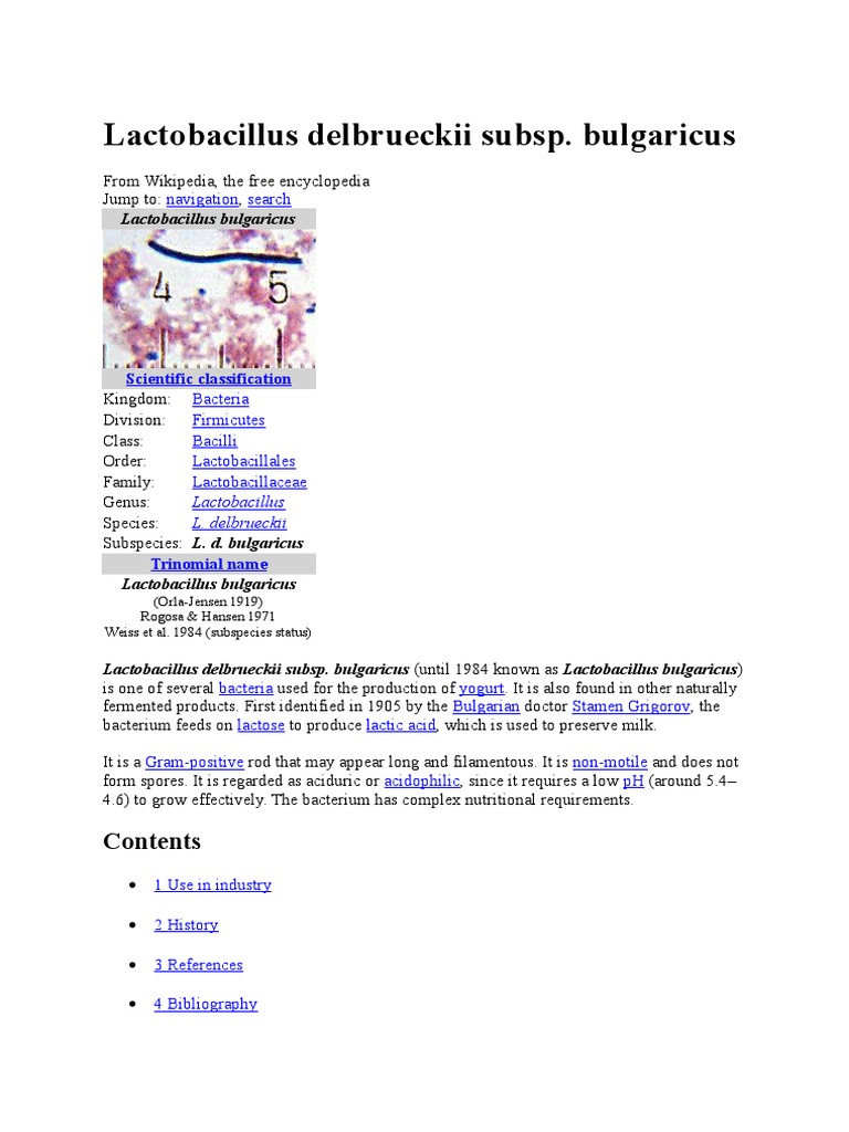 Lactobacillus Delbrueckii Subsp Microbiology Microorganism