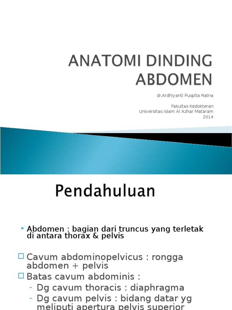 Anatomi Dinding Abdomen PDF
