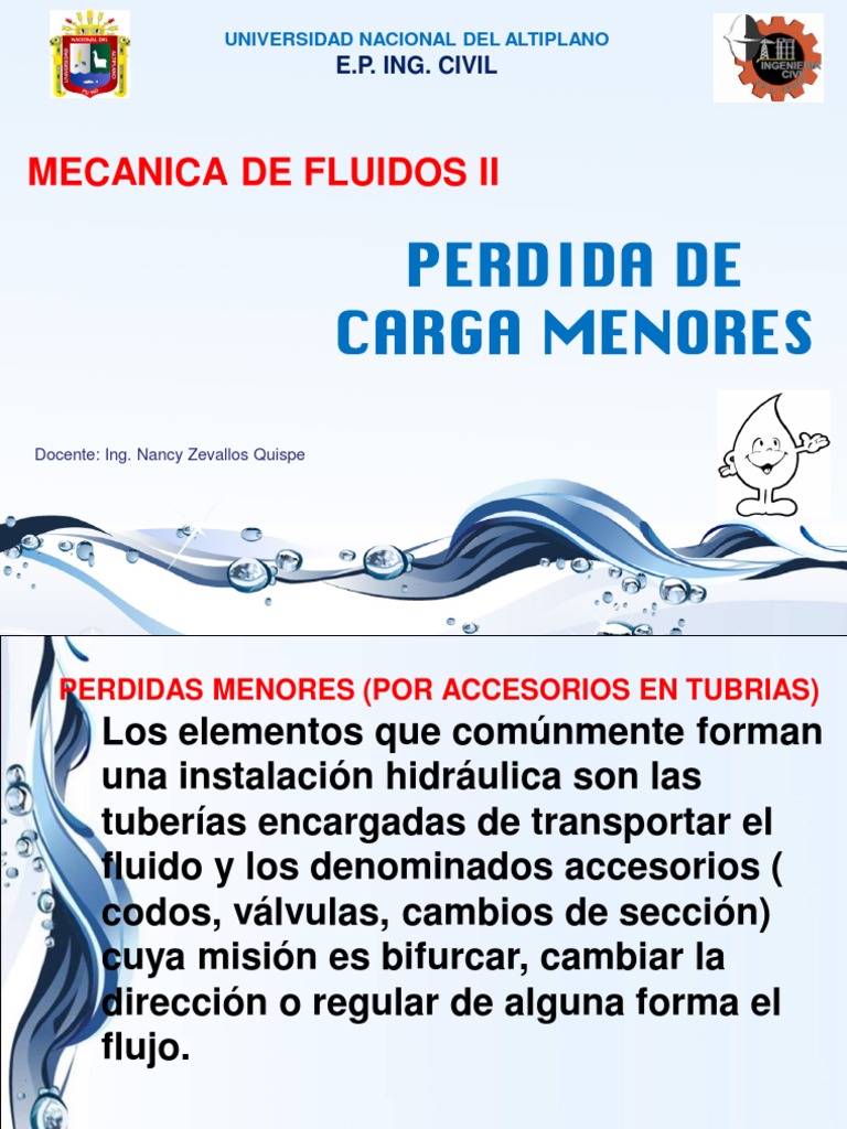 5 Perdida de Carga Menor