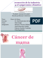 233553026-Cancer-de-Mama.ppt