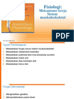 Fisiologi Musculoskeletal - Gigi14