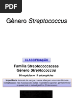 Aula Streptococcus