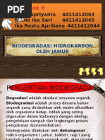 Download Biodegradasi Oleh Jamurpptx by laywishka SN263202837 doc pdf