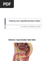 L13 Fisiologi Reproduksi Pria