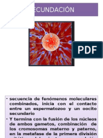 8-fecundación (2).pptx