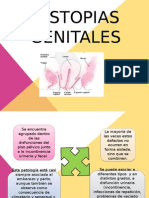 153621805-Distopias-Genitales-y-Examenes-Auxiliares.ppt