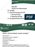 Biology Chapter 8 - Answers