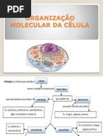 Aula 3 Organizacao Molecular e Tecnicas Biologia 2015